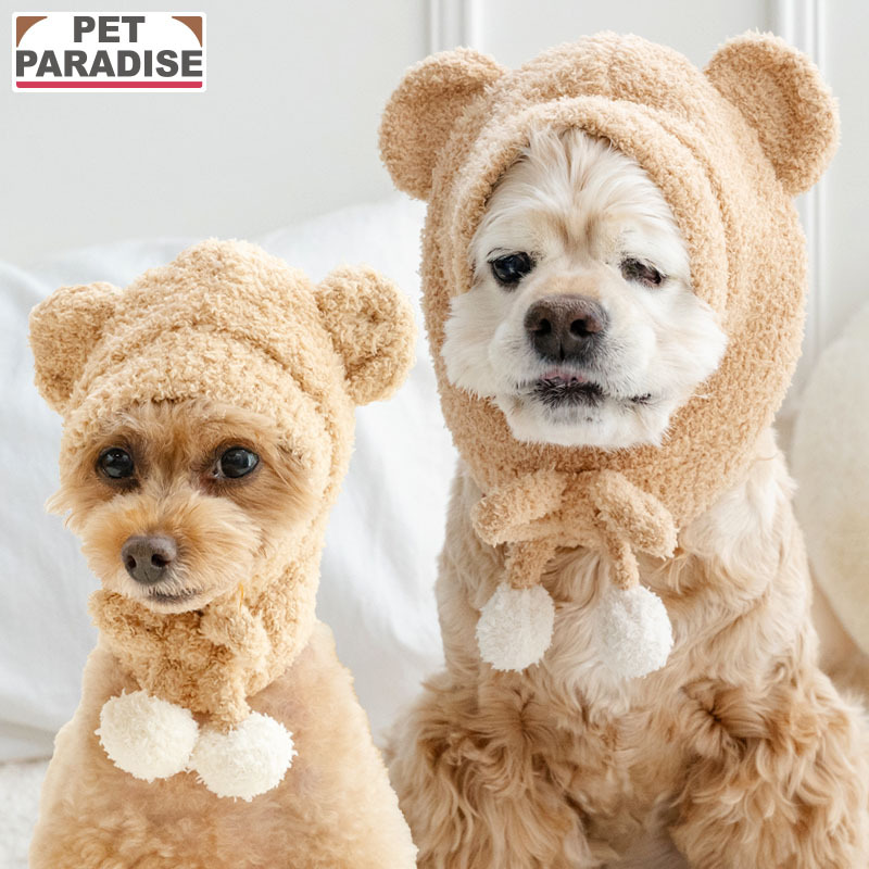 [Pet Paradise] Bear Hat