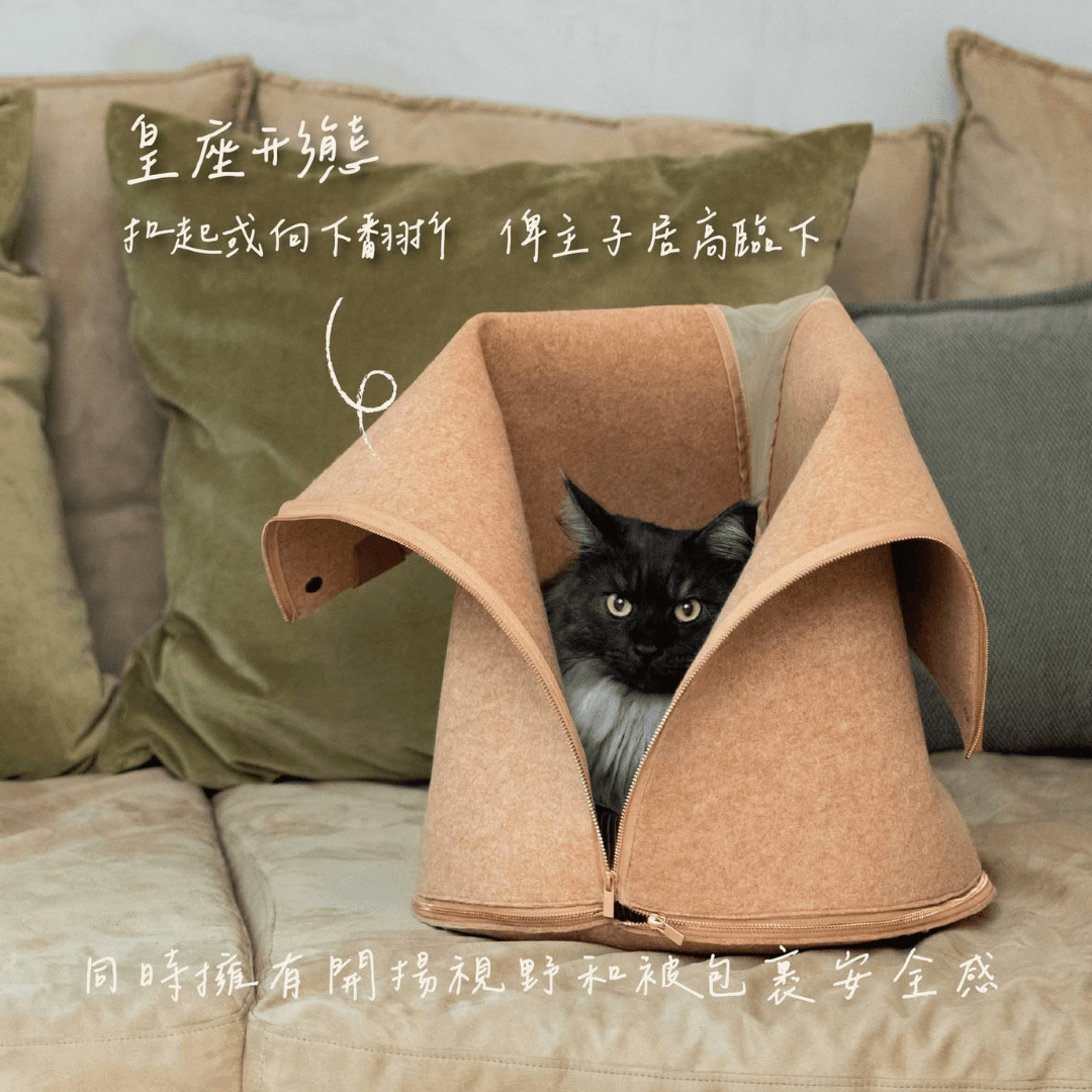 Pettellyava' Empa 2 in 1 Cat Seat & Tunnel