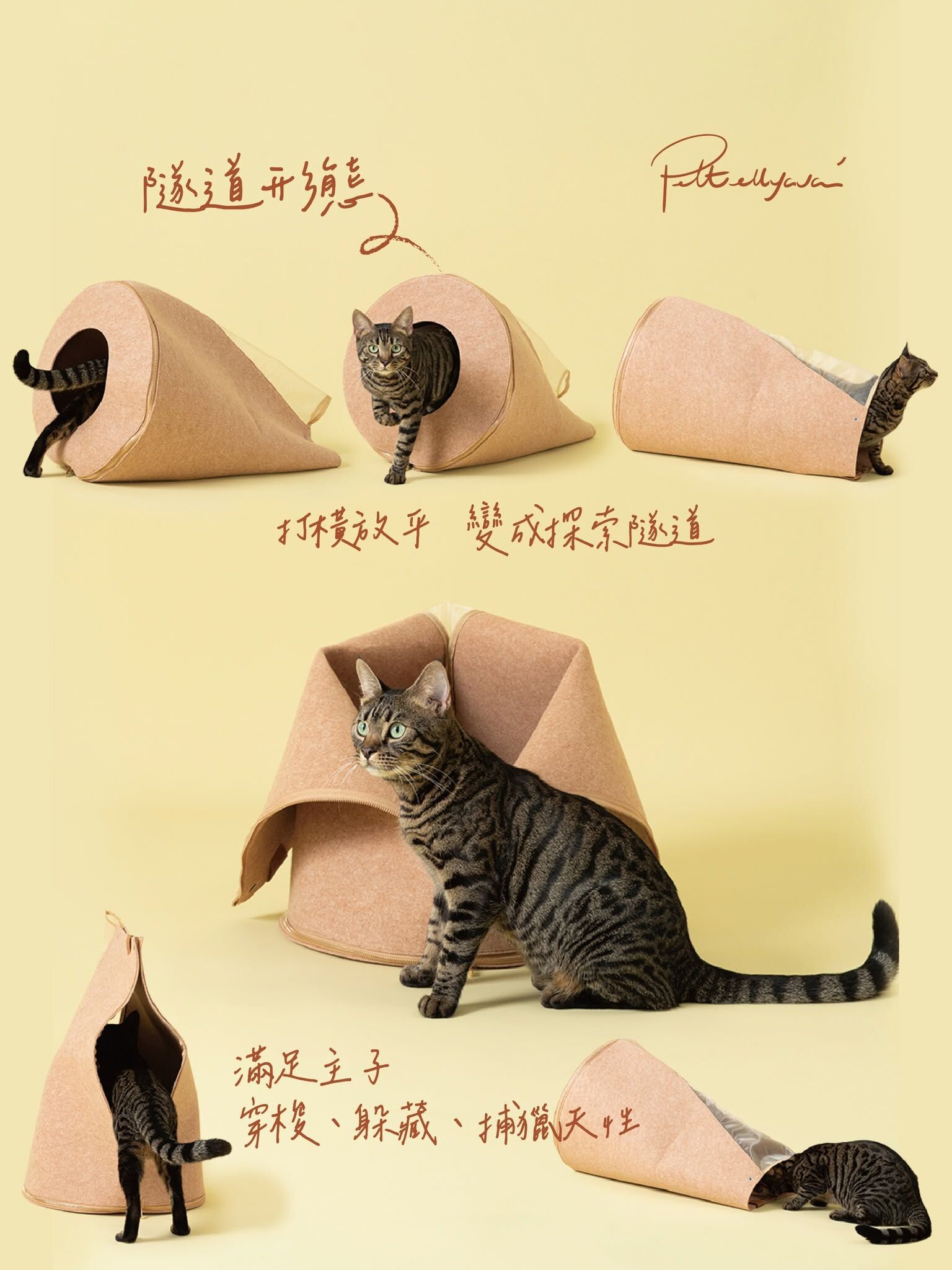 Pettellyava Empa 皇座
