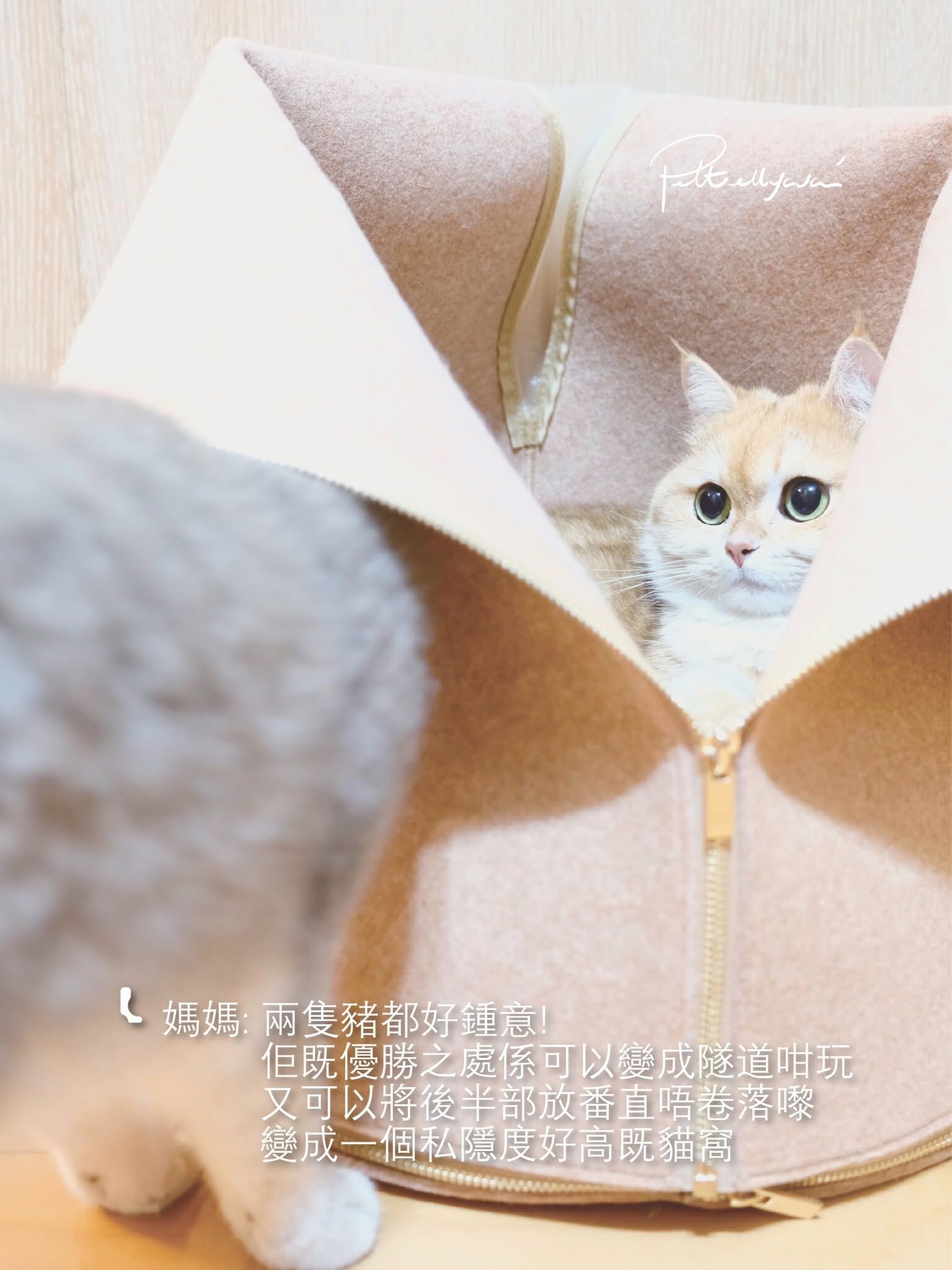 Pettellyava Empa 皇座