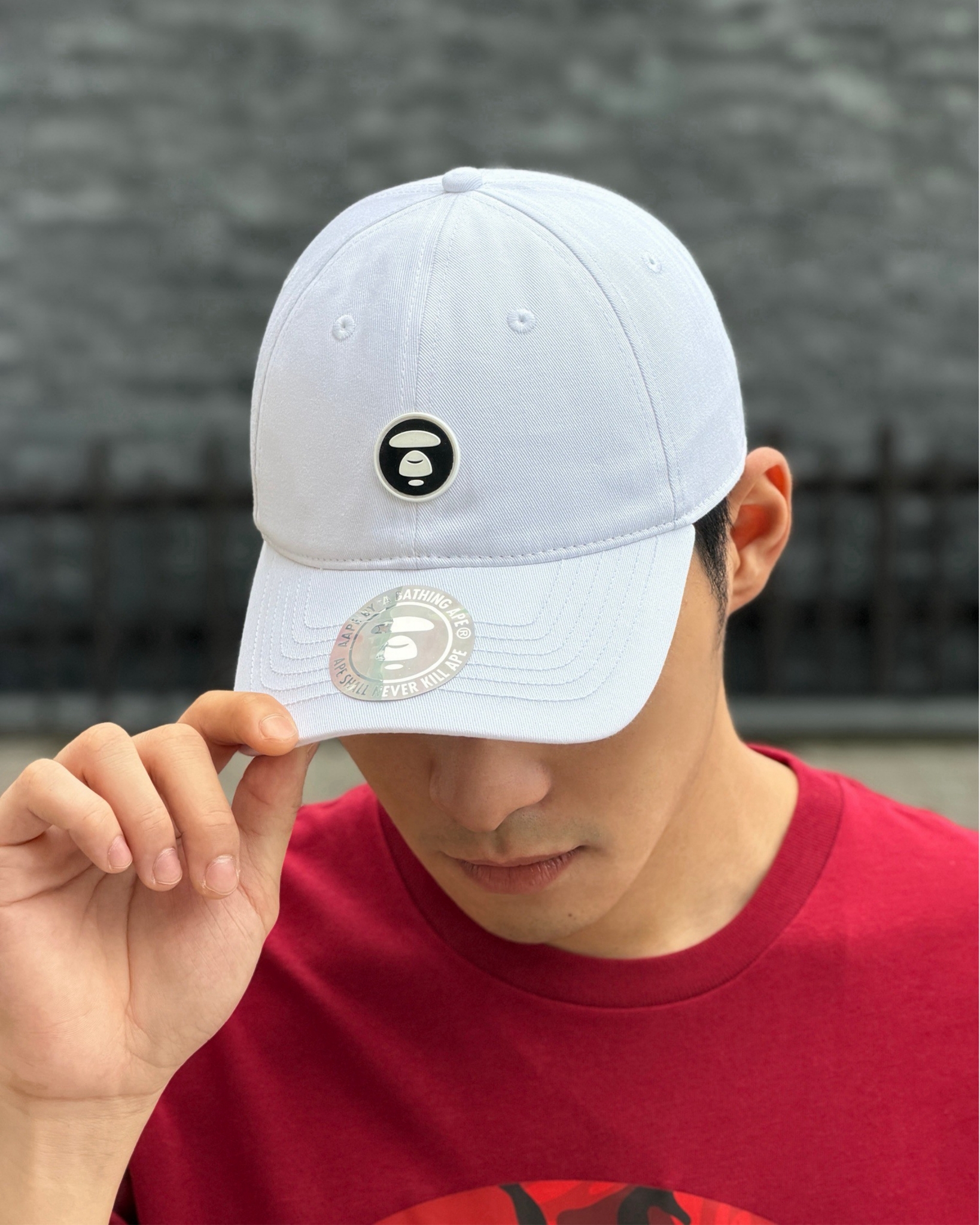 AAPE 圓標猿猴 老帽 棒球帽 鴨舌帽