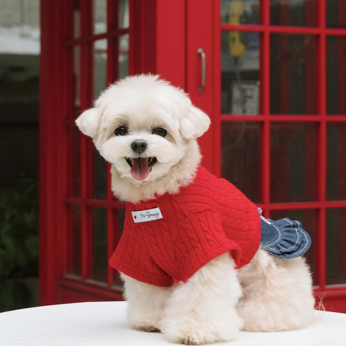 經典麻花針織短版外衣| Cable Knit Boler Red 紅色  It’s