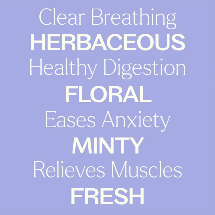 Plant Therapy 貓薄荷 Catnip 精油 (兒童安全)-10ml