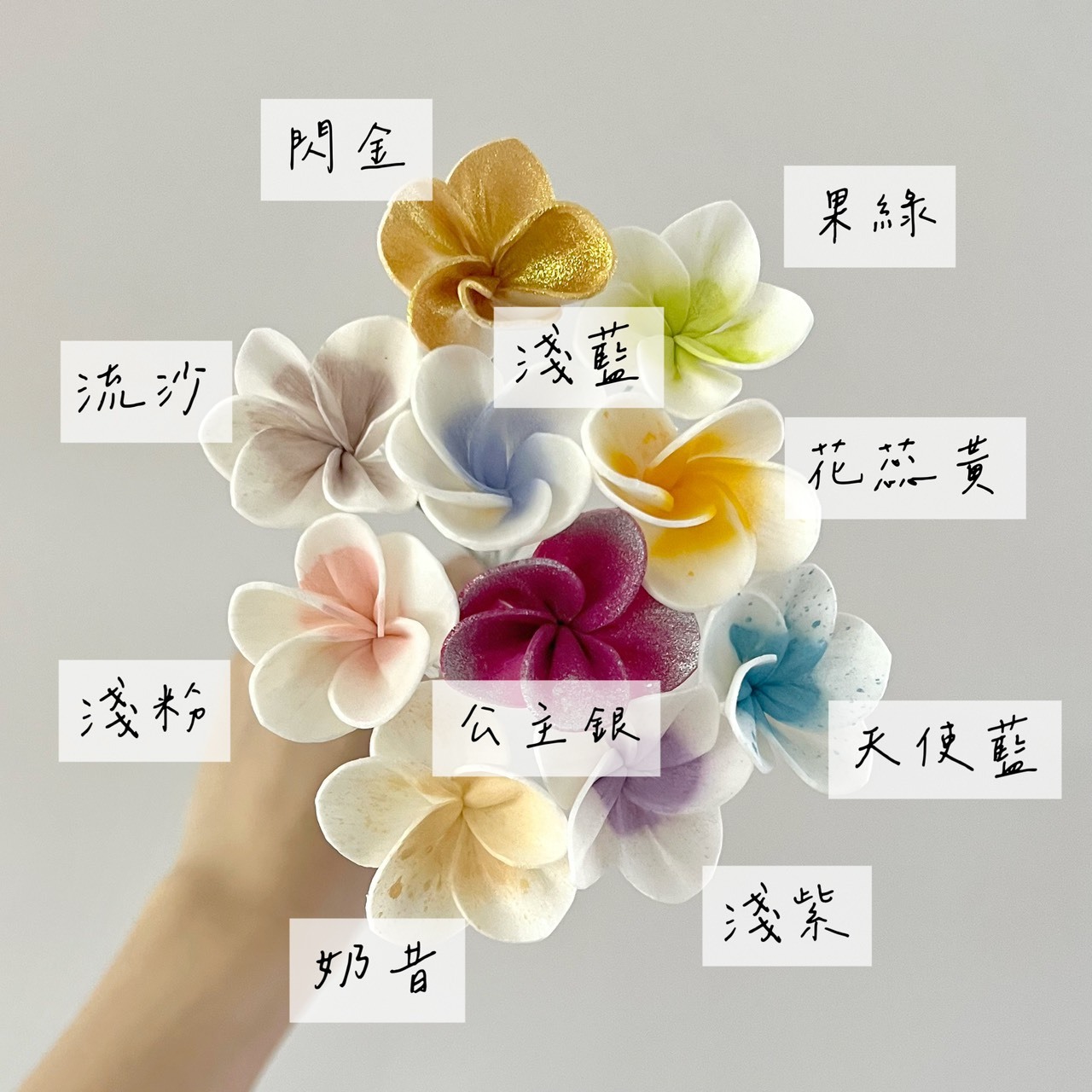 泰國索拉花 迷你雞蛋花 3CM <十支一把> (高品質)
