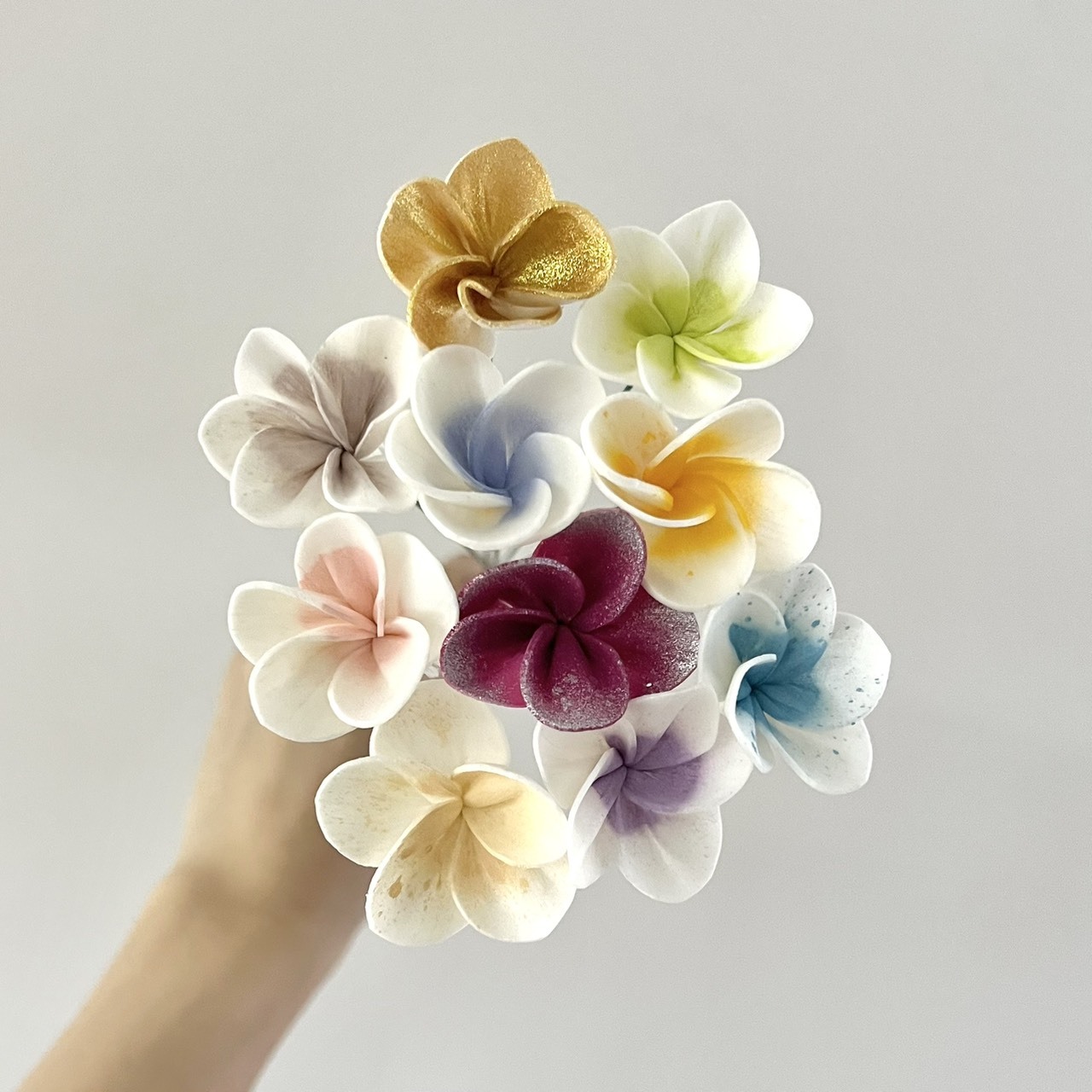 泰國索拉花 迷你雞蛋花 3CM <十支一把> (高品質)