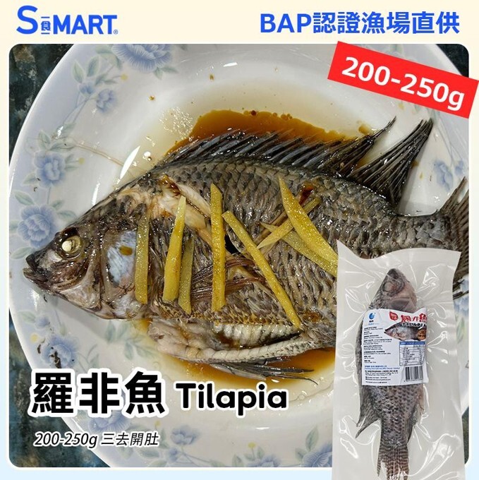 A20 海的 羅非魚 (三去) 200-250克/條