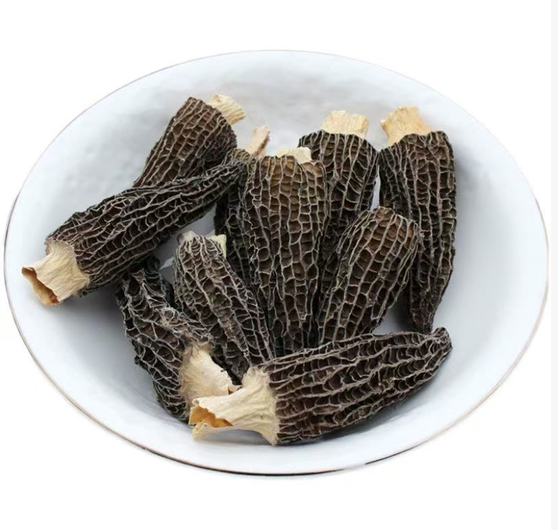 0912XY25-XYDAY-TEA-野生羊肚菌 100g (C25)