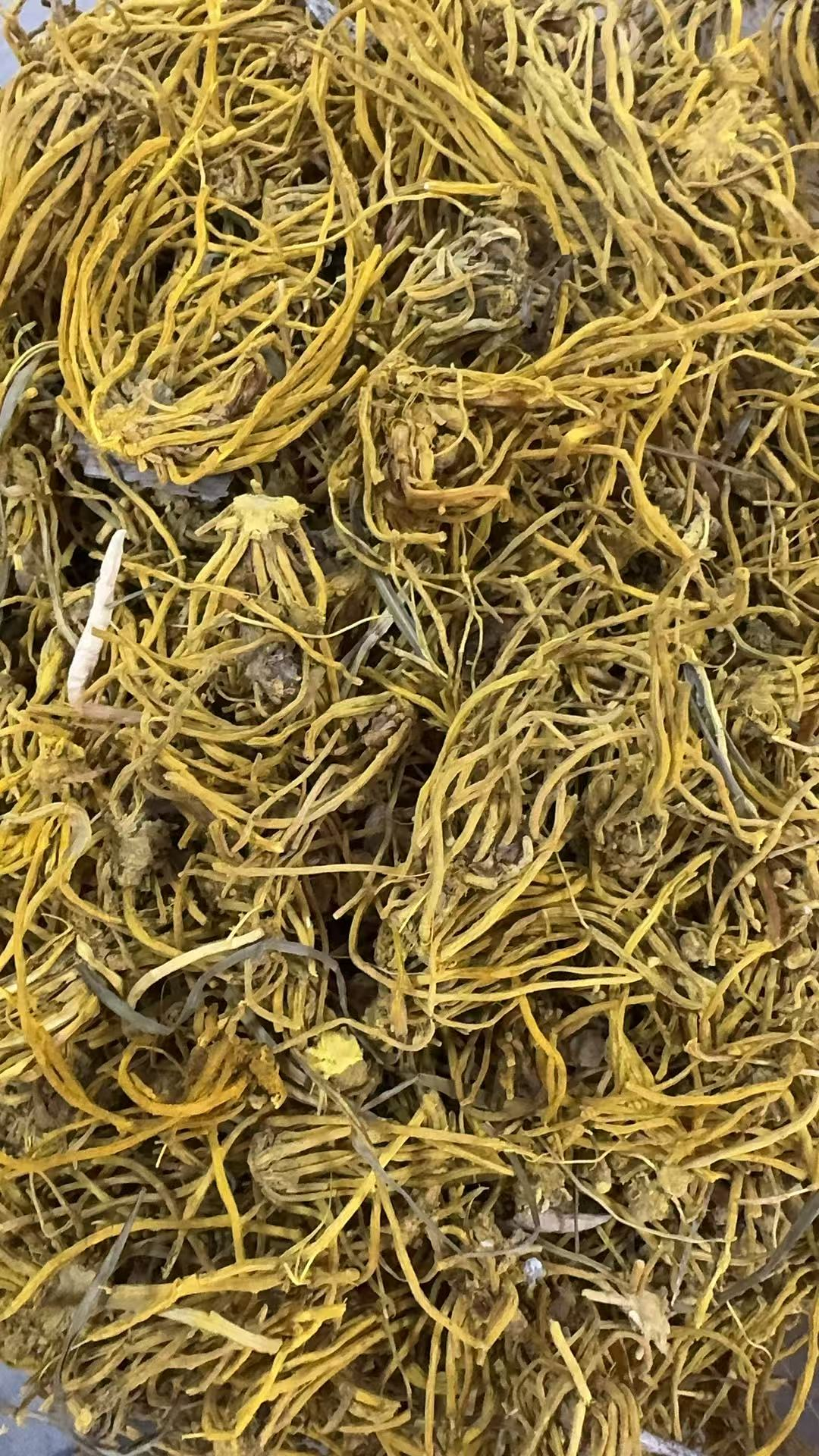 0912XY08-XYDAY-TEA-野生黃龍根 500g (C8)