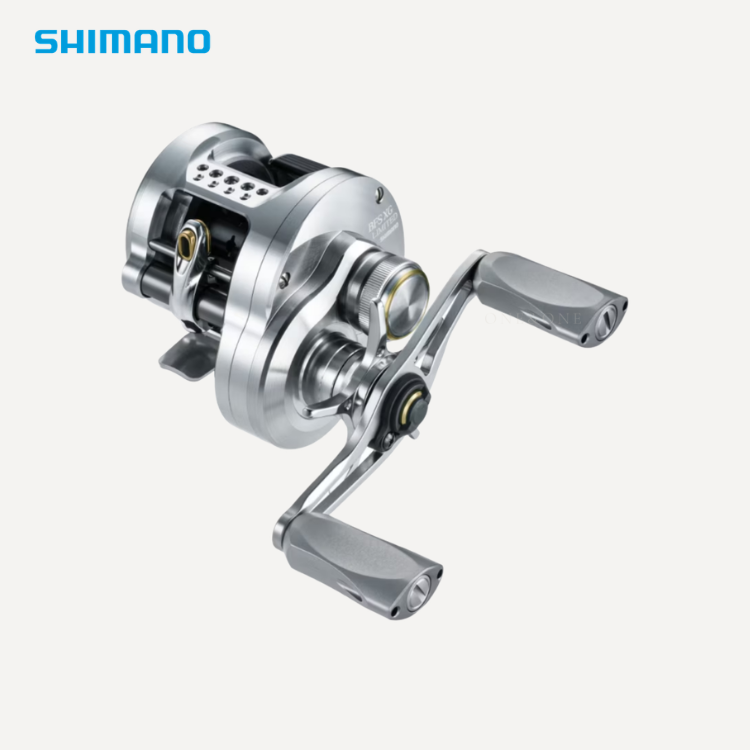 Shimano Calcutta Conquest BFS Limited