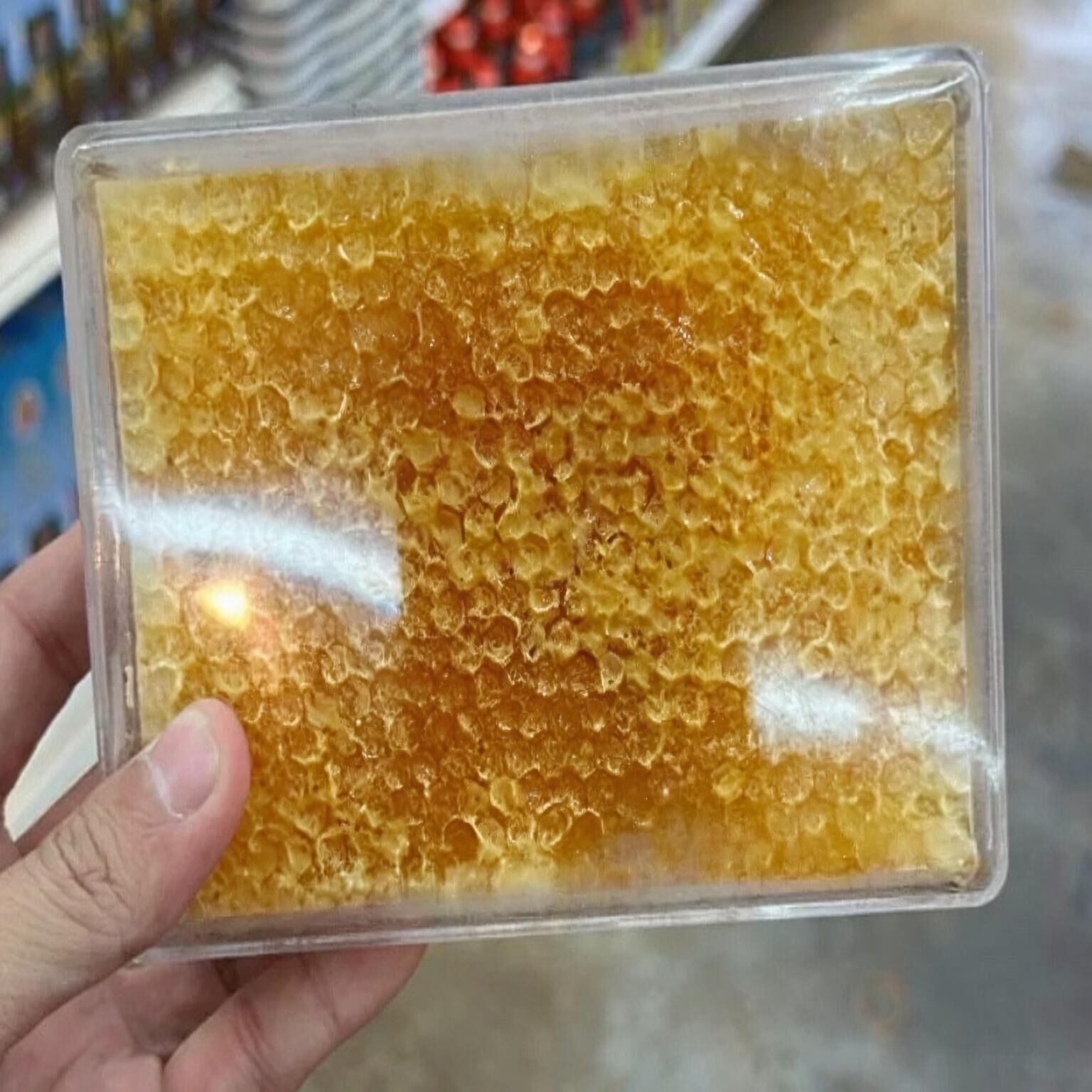 【天然無添加】大芭野生蜂巢 500g |Honey Comb · 100% 純天然原蜜釀造