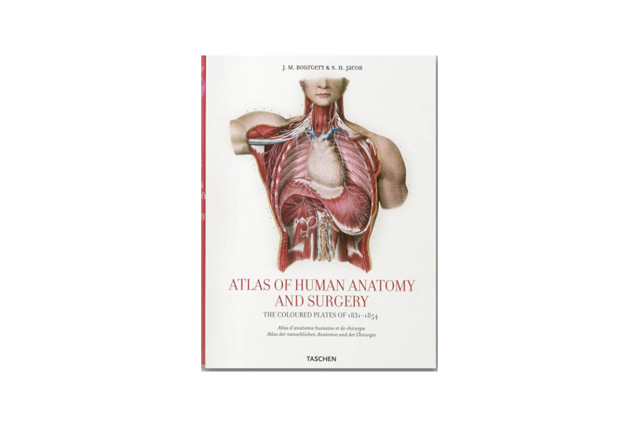 ATLAS OF ANATOMY