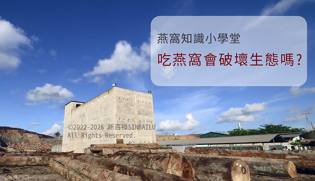 吃燕窩會破壞生態嗎?3 分鐘破解迷思,帶你認識友善環境的「純淨屋燕」