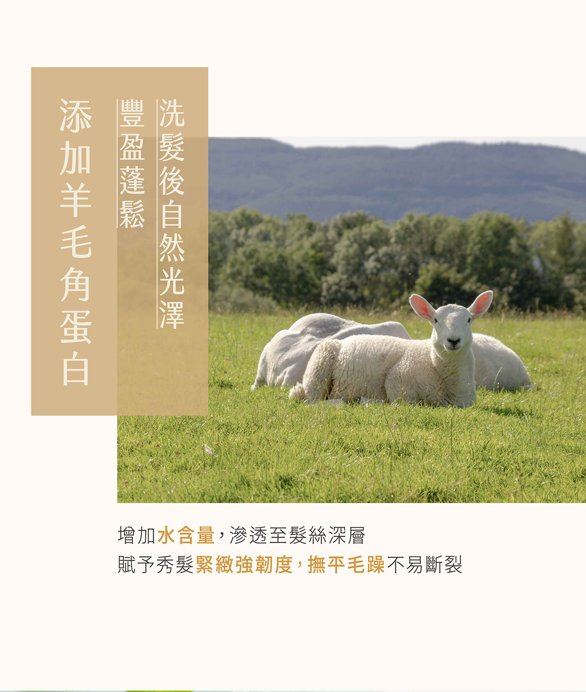 商品特色 4