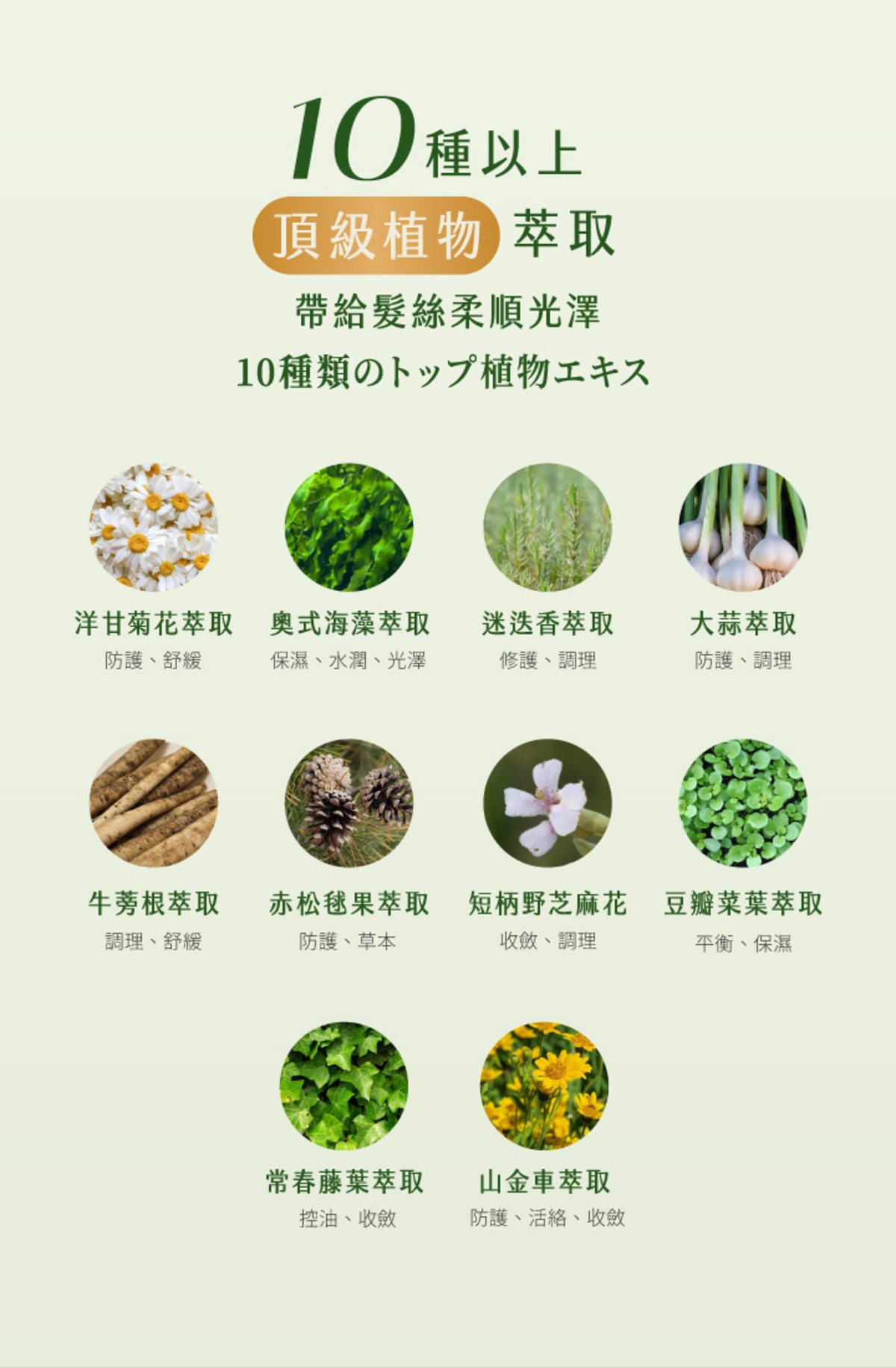 商品特色 13
