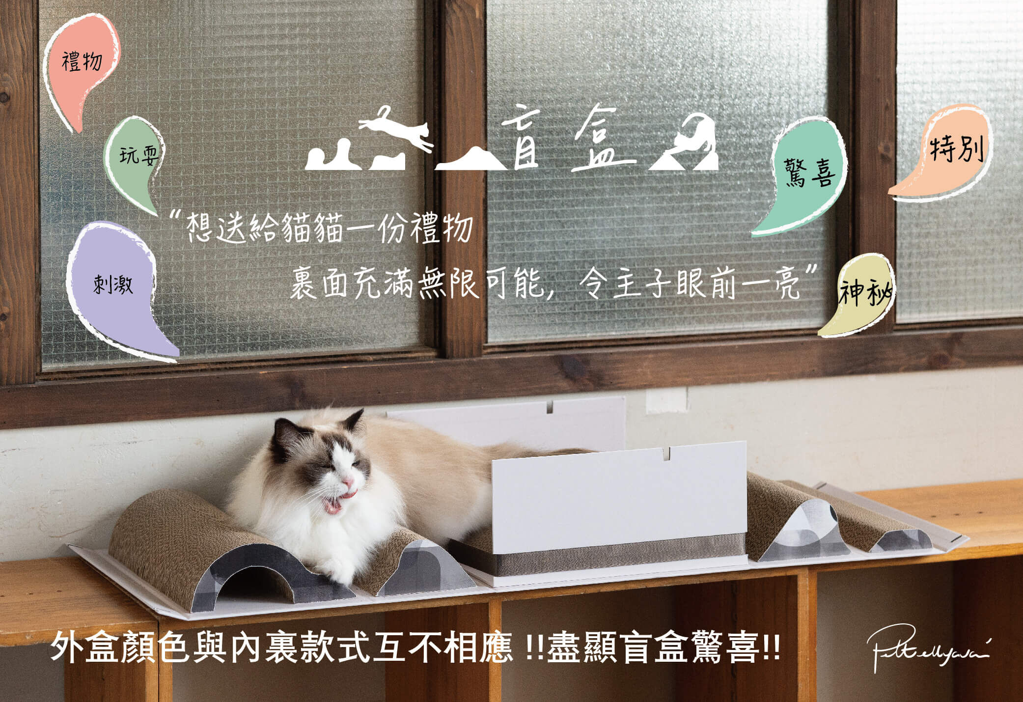 Pettellyava 貓抓板盲盒