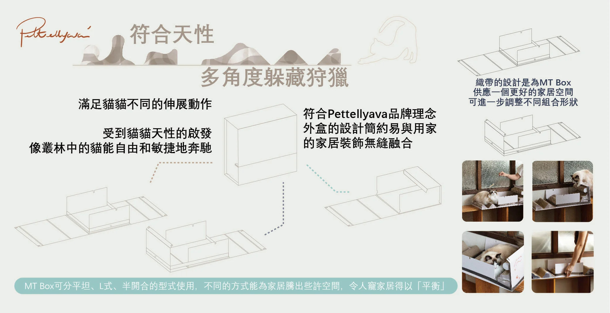 Pettellyava 貓抓板盲盒