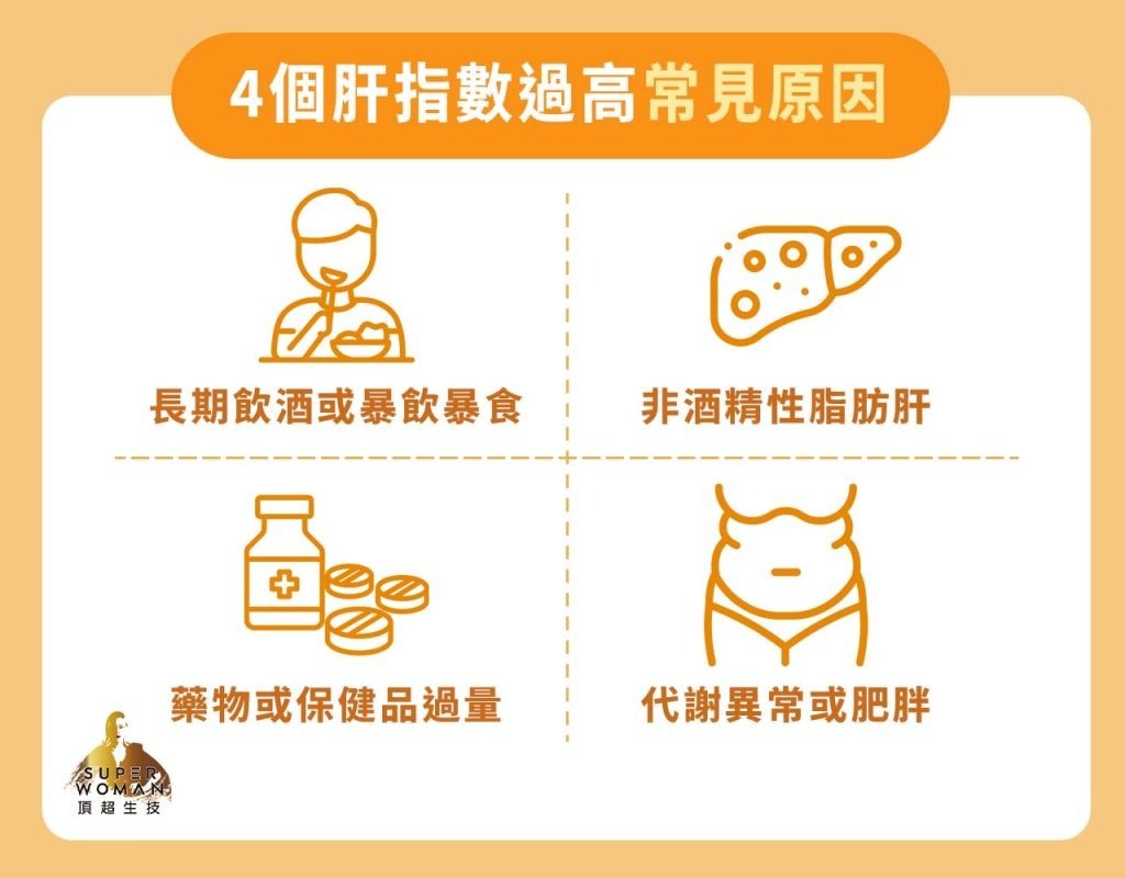 4個肝指數過高常見原因