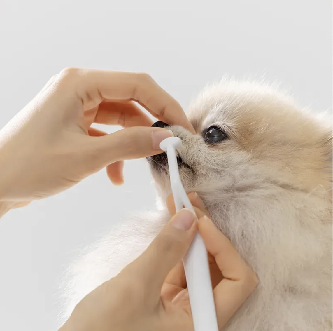 JAYU PET｜零死角犬貓潔牙刷 | 兩種刷毛可選