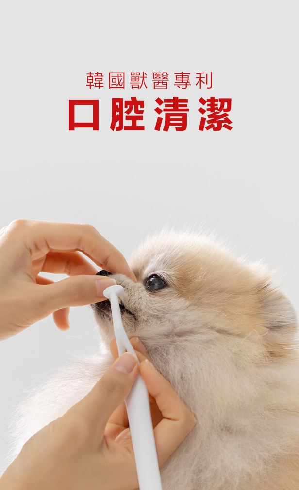 口腔清潔