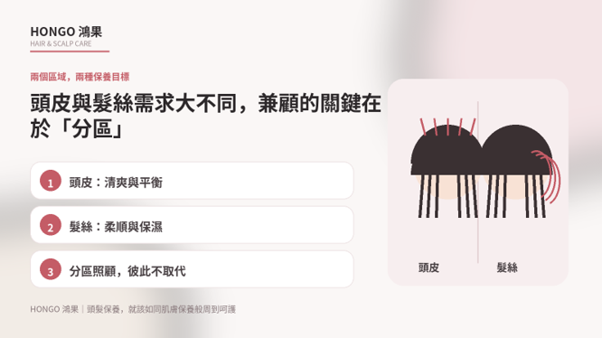 頭皮與髮絲需求大不同,兼顧的關鍵在於「分區」