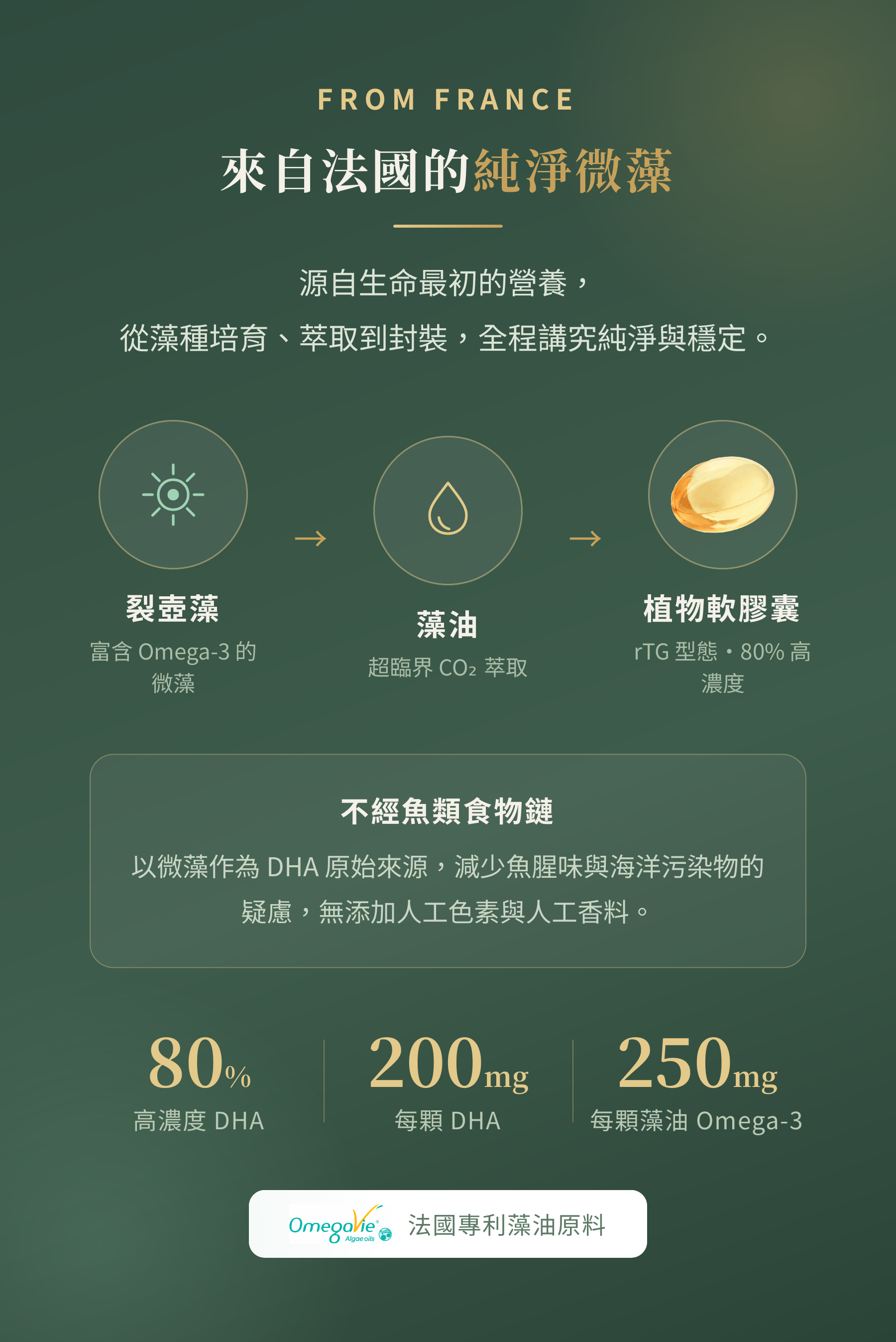 藻蘊寶 純藻類來源介紹