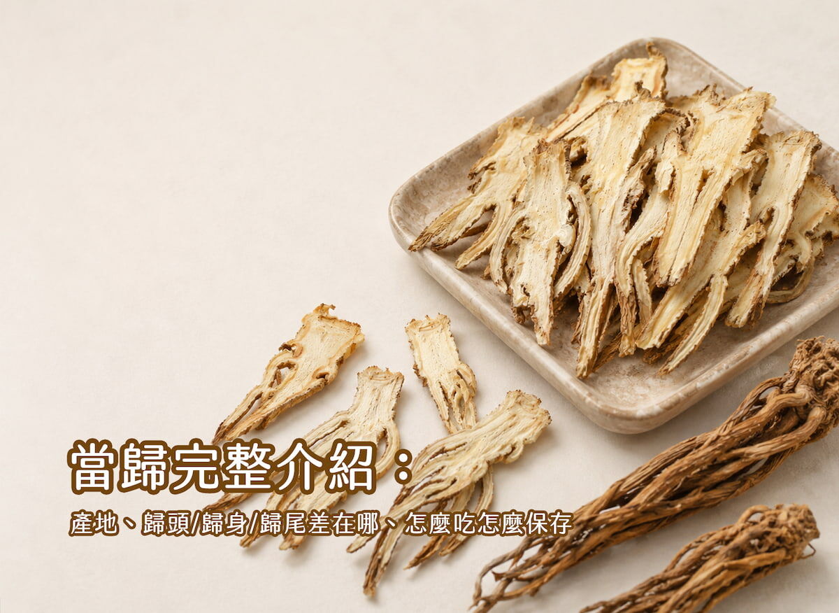 當歸切片斷面特寫