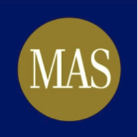 新加坡 MAS 大型支付機構牌照