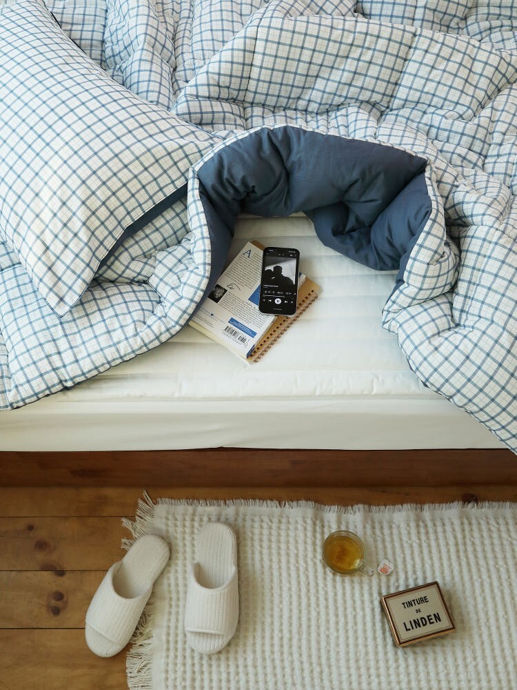 Cozy Check 60s Asa Cotton All-Season Comforter