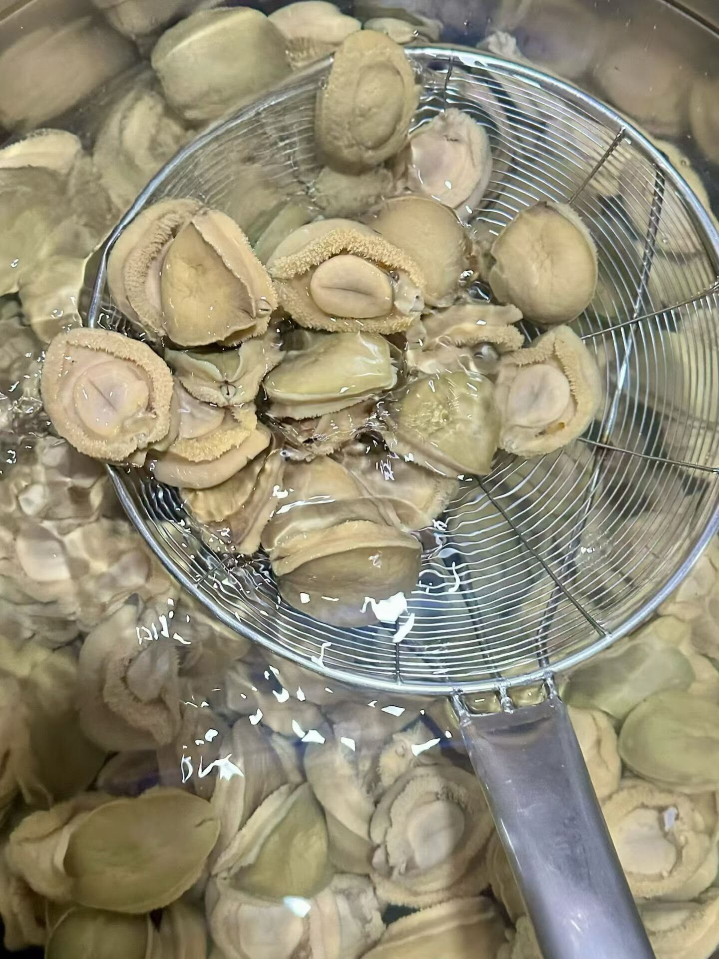急凍鮑汁扣鮑魚 速凍調製食品 20頭