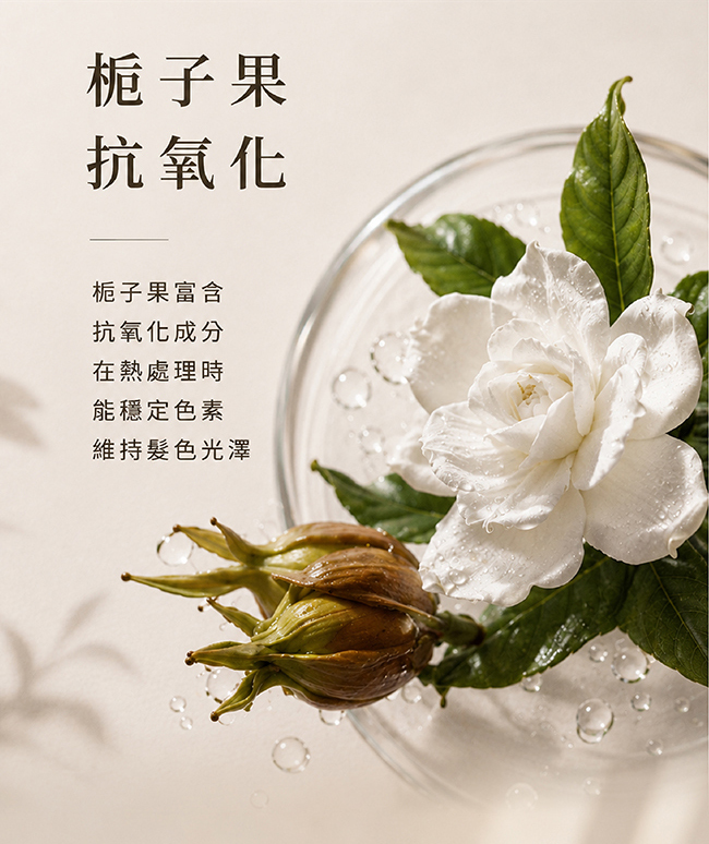 金韓今 韓金結構護髮 02強化