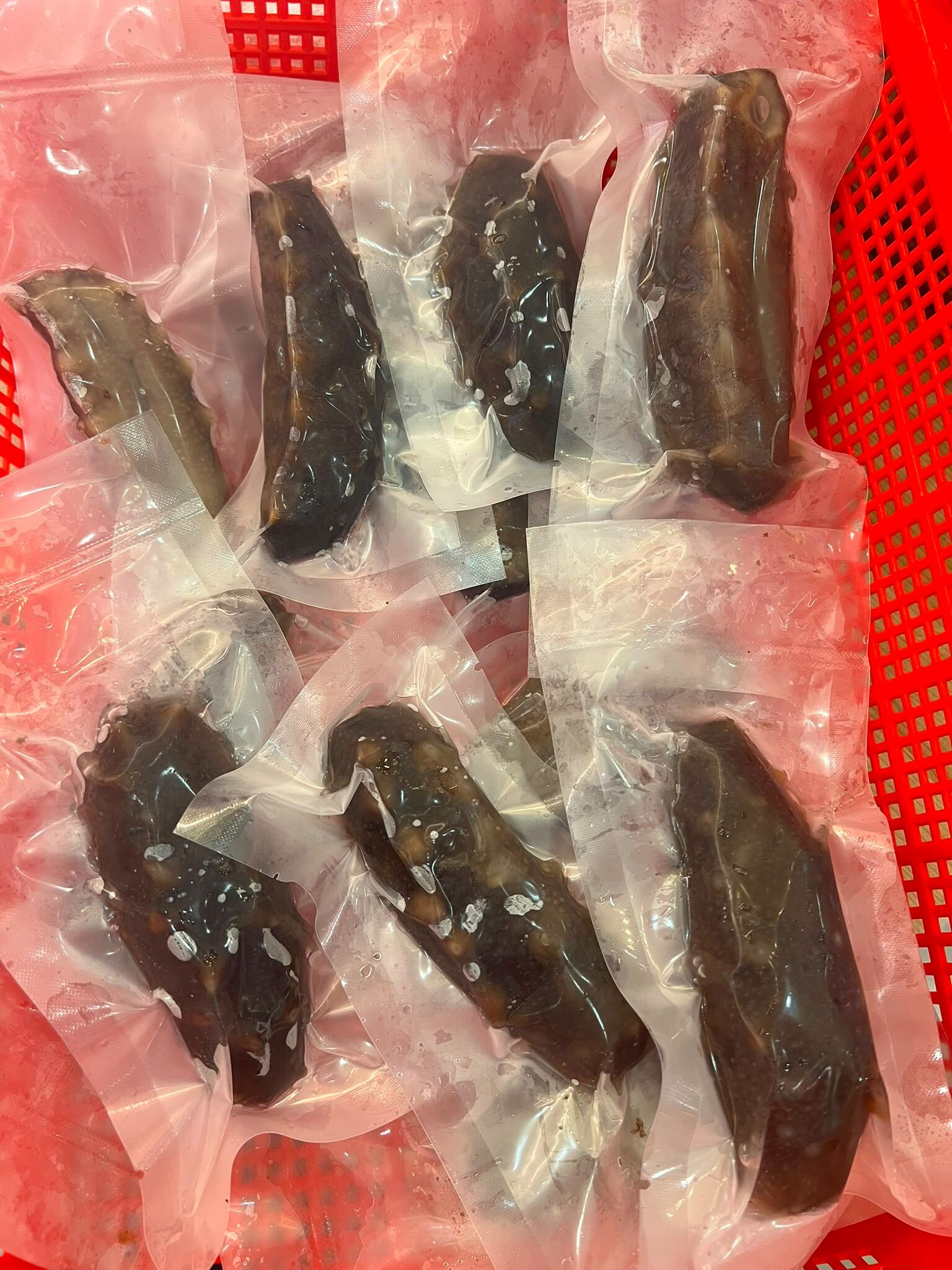 自家浸發日本青森海參-每套6條