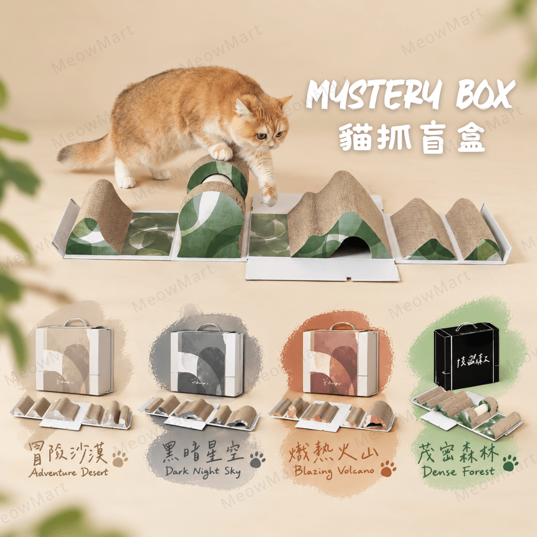 Pettellyava' Mystery Scratch Box