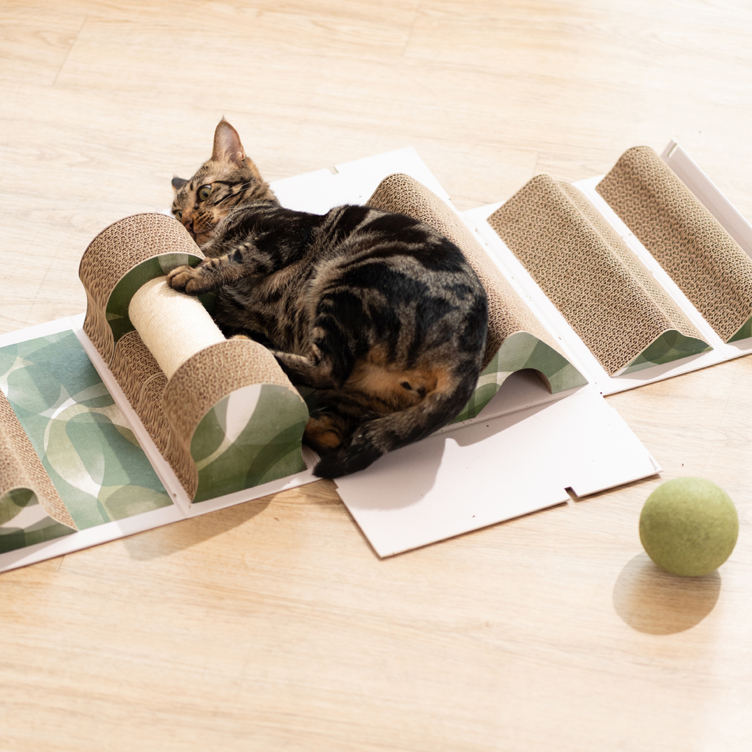 Pettellyava' Mystery Scratch Box