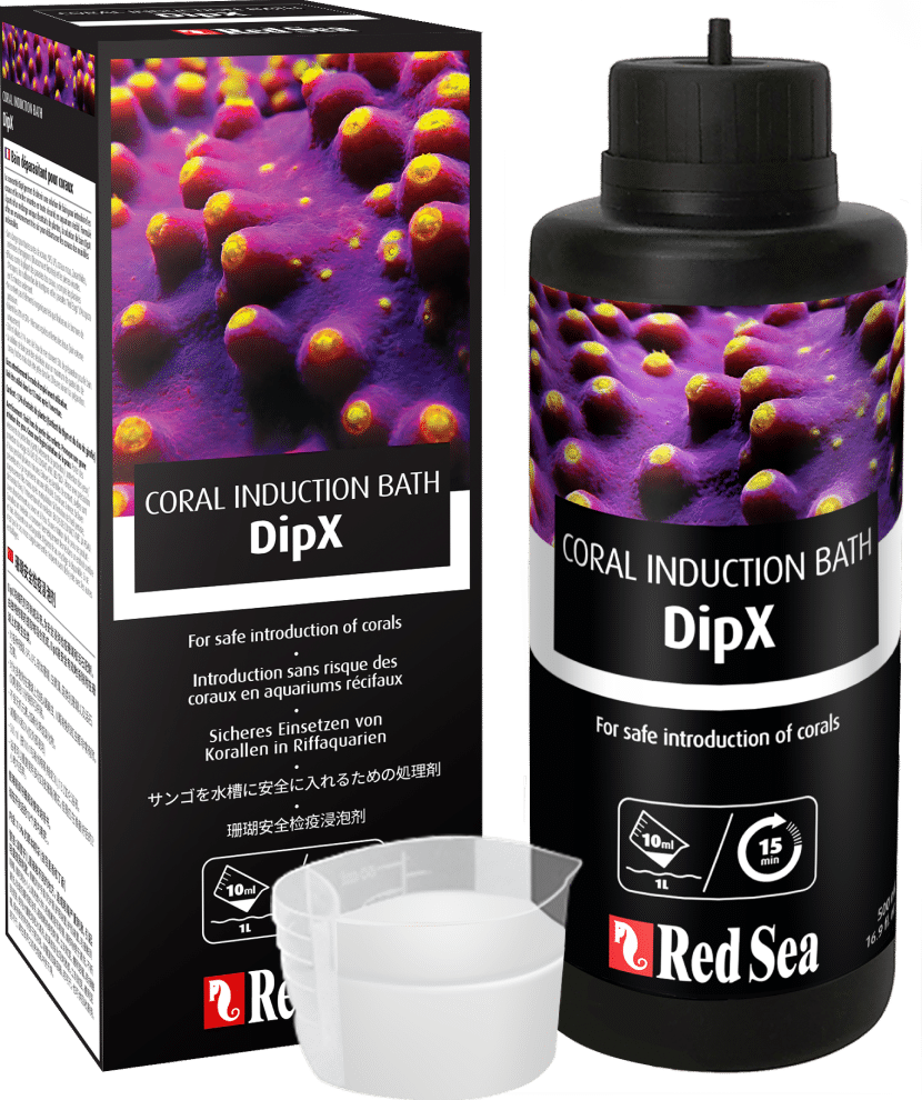 Red Sea 紅海 DipX 珊瑚安全檢疫藥水