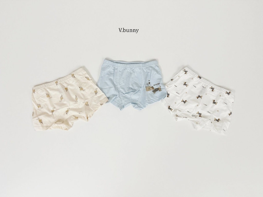 正韓秋Vbunny 男孩的腸腸狗狗內褲(一組3入)