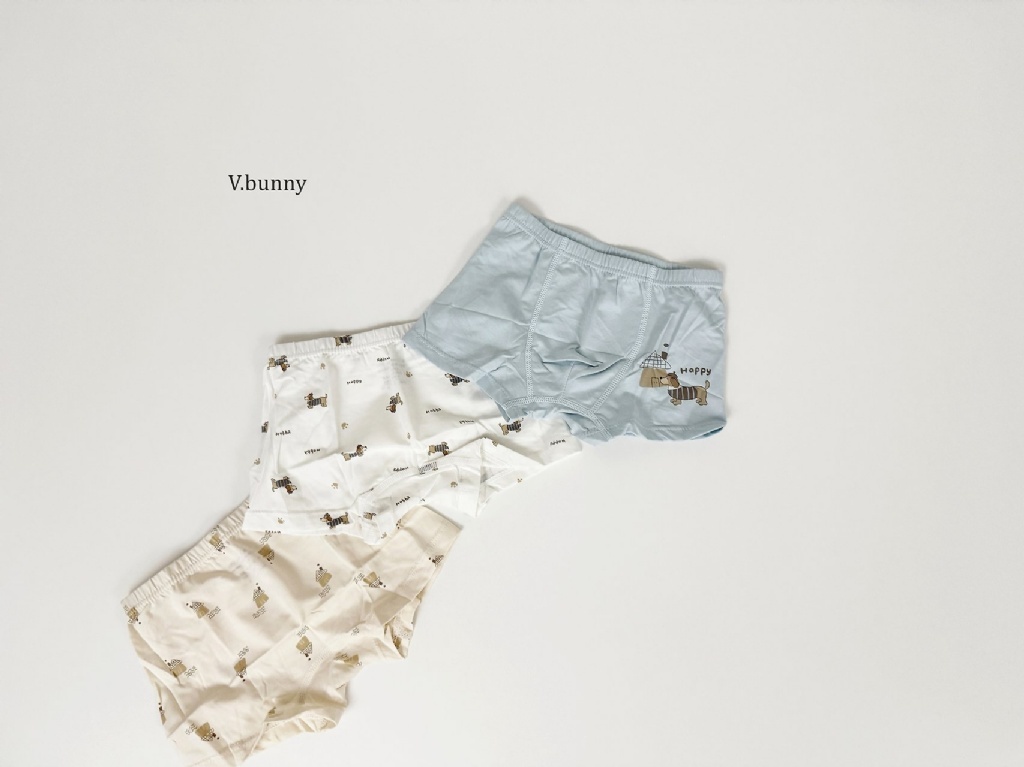 正韓秋Vbunny 男孩的腸腸狗狗內褲(一組3入)