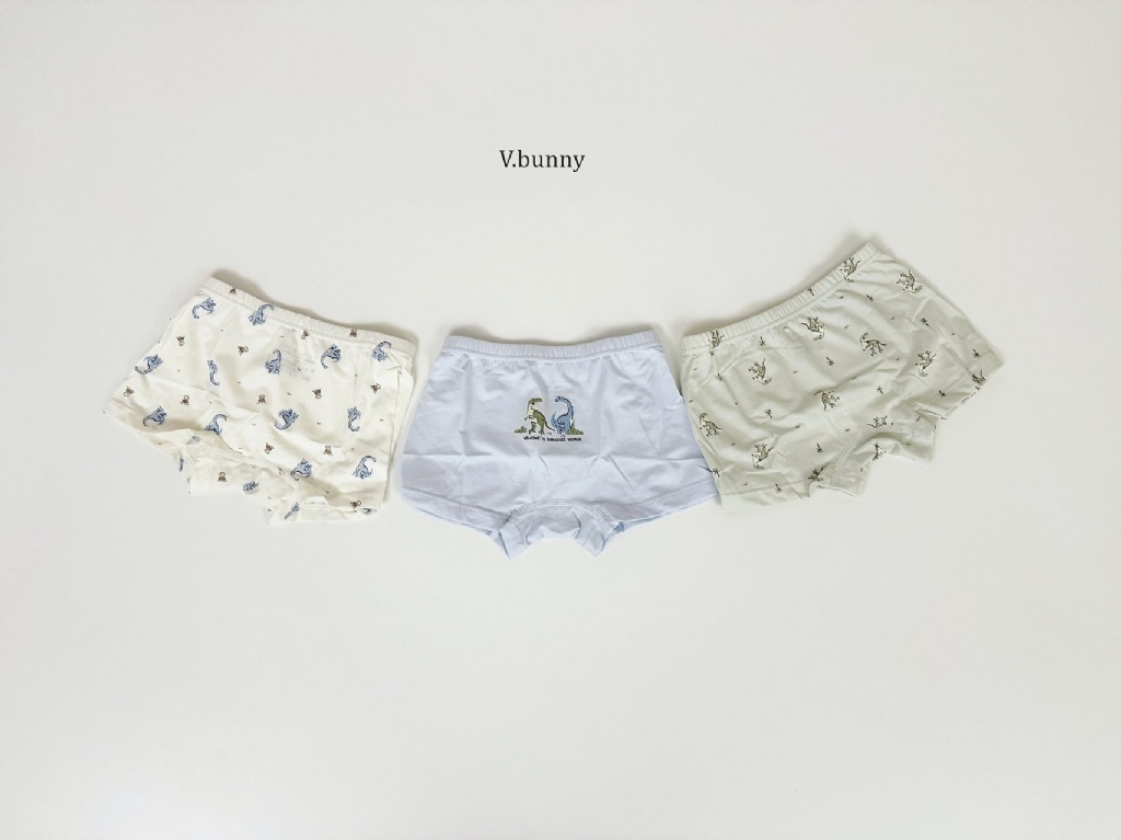 正韓秋Vbunny 男孩的恐龍內褲(一組3入)