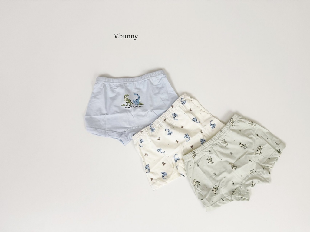 正韓秋Vbunny 男孩的恐龍內褲(一組3入)