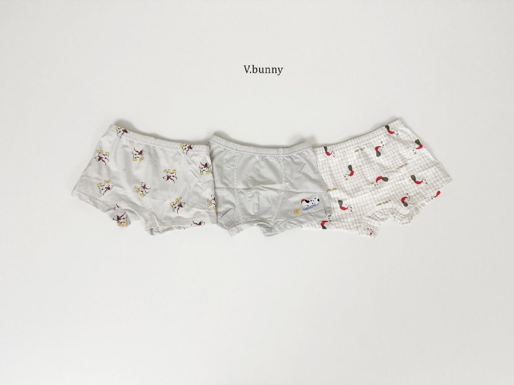正韓秋Vbunny 男孩的睡覺狗狗格子內褲(一組3入)