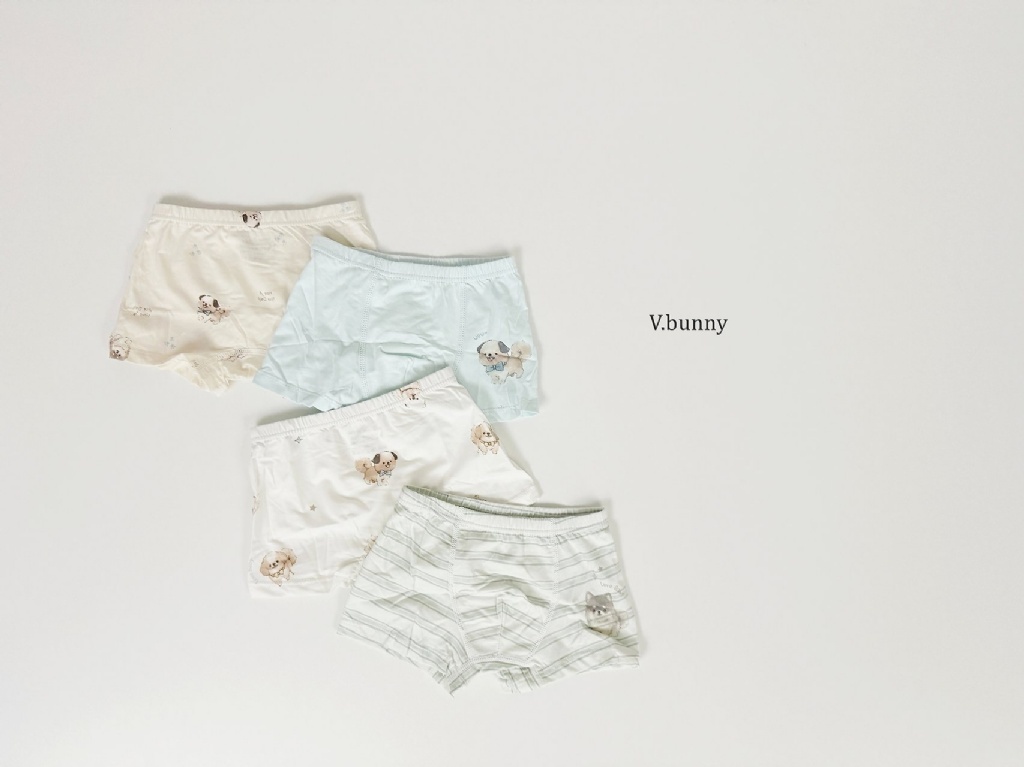 正韓秋Vbunny 男孩的各種可愛狗狗內褲(一組4入)