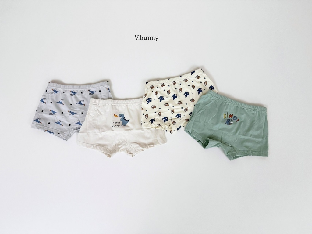 正韓秋Vbunny 男孩的噴火恐龍內褲(一組4入)