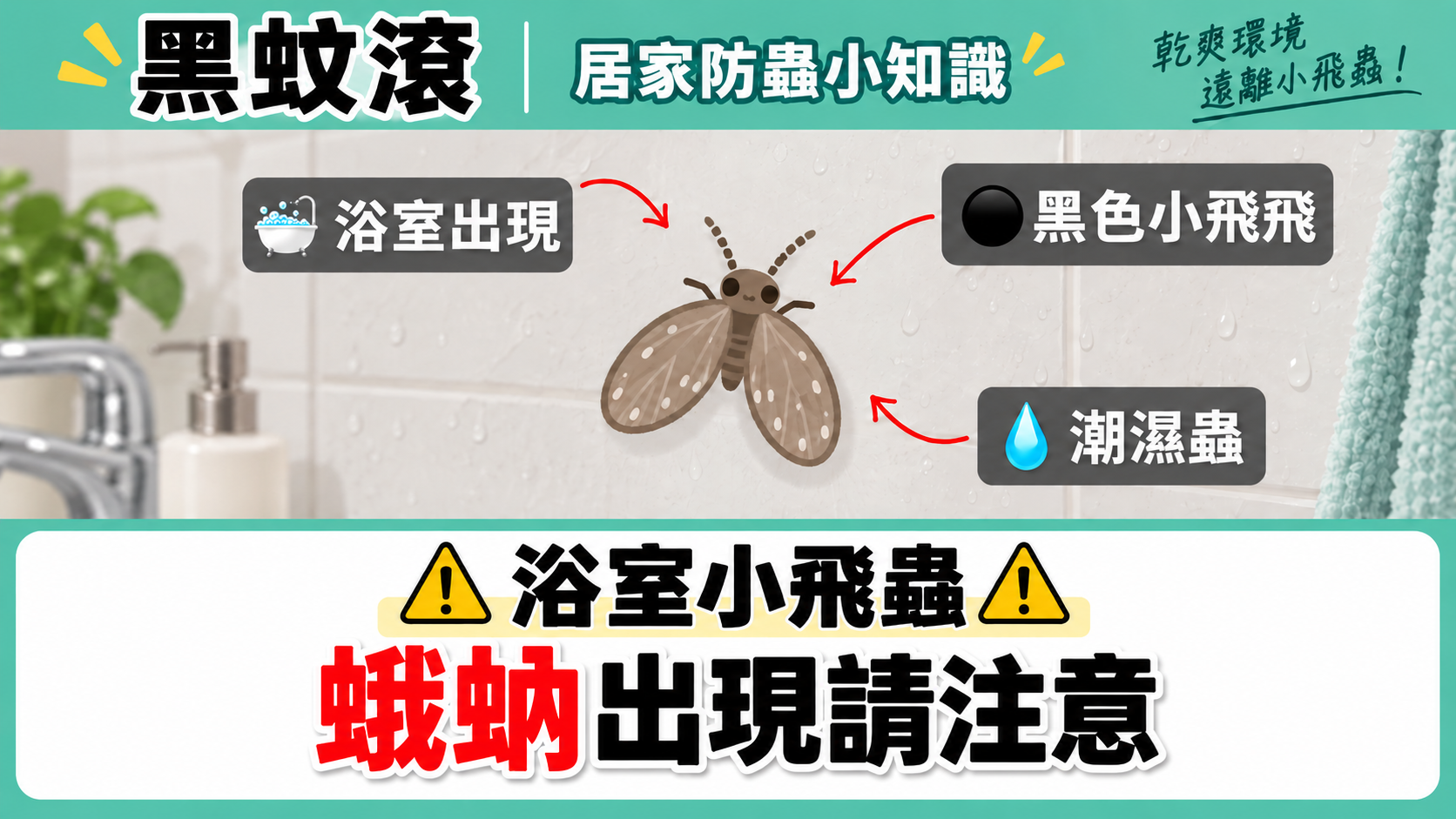 浴室小飛蟲出沒注意！蛾蚋特性與居家防蟲小知識