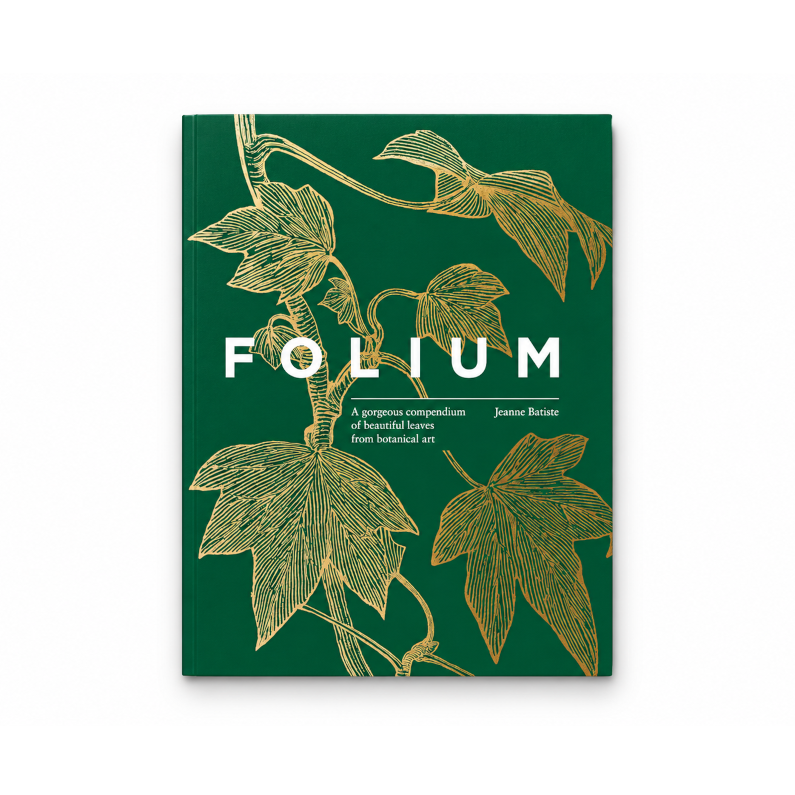 Folium: A gorgeous compendium of beautiful leaves