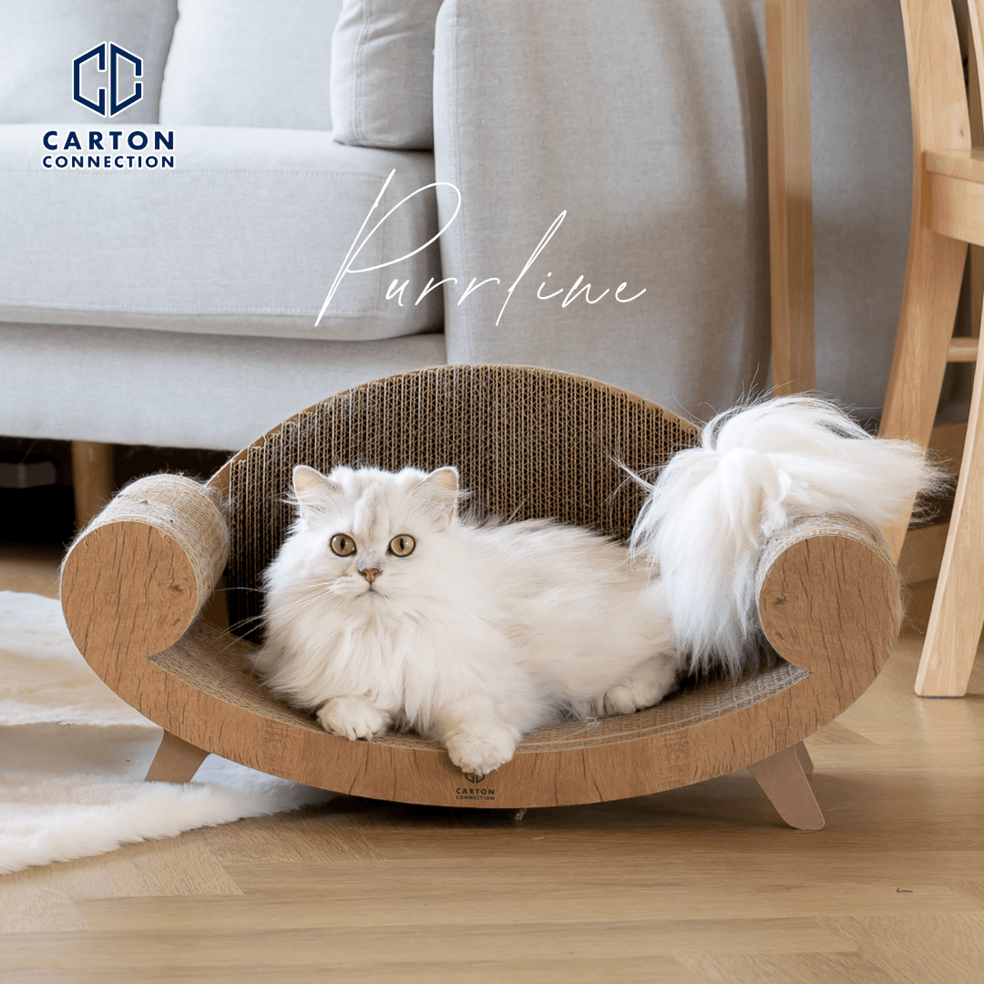 (Thailand) Carton Connection Purrline Cat Scratcher