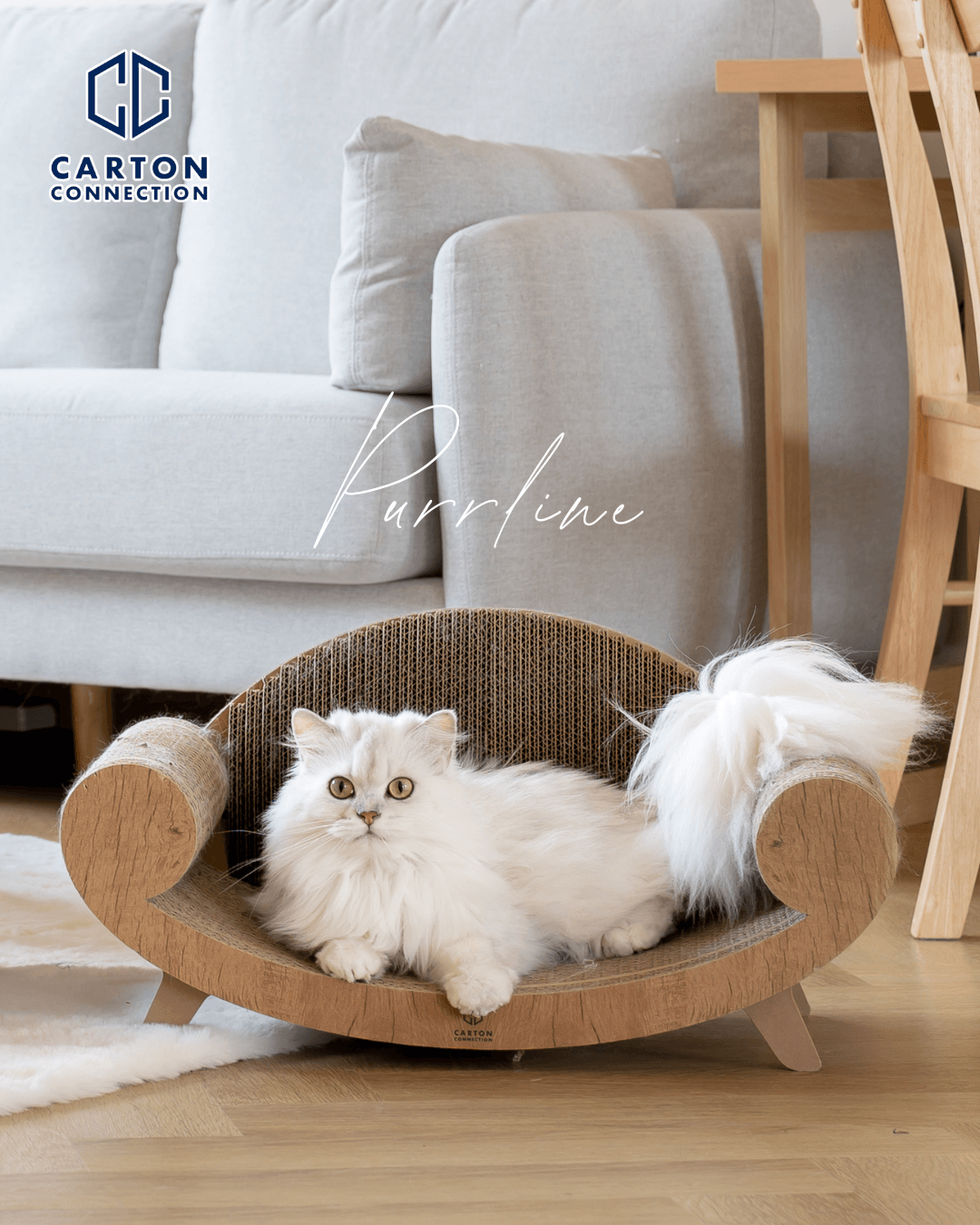 泰國 Carton Connection 貴妃椅貓抓板 (Purrline)