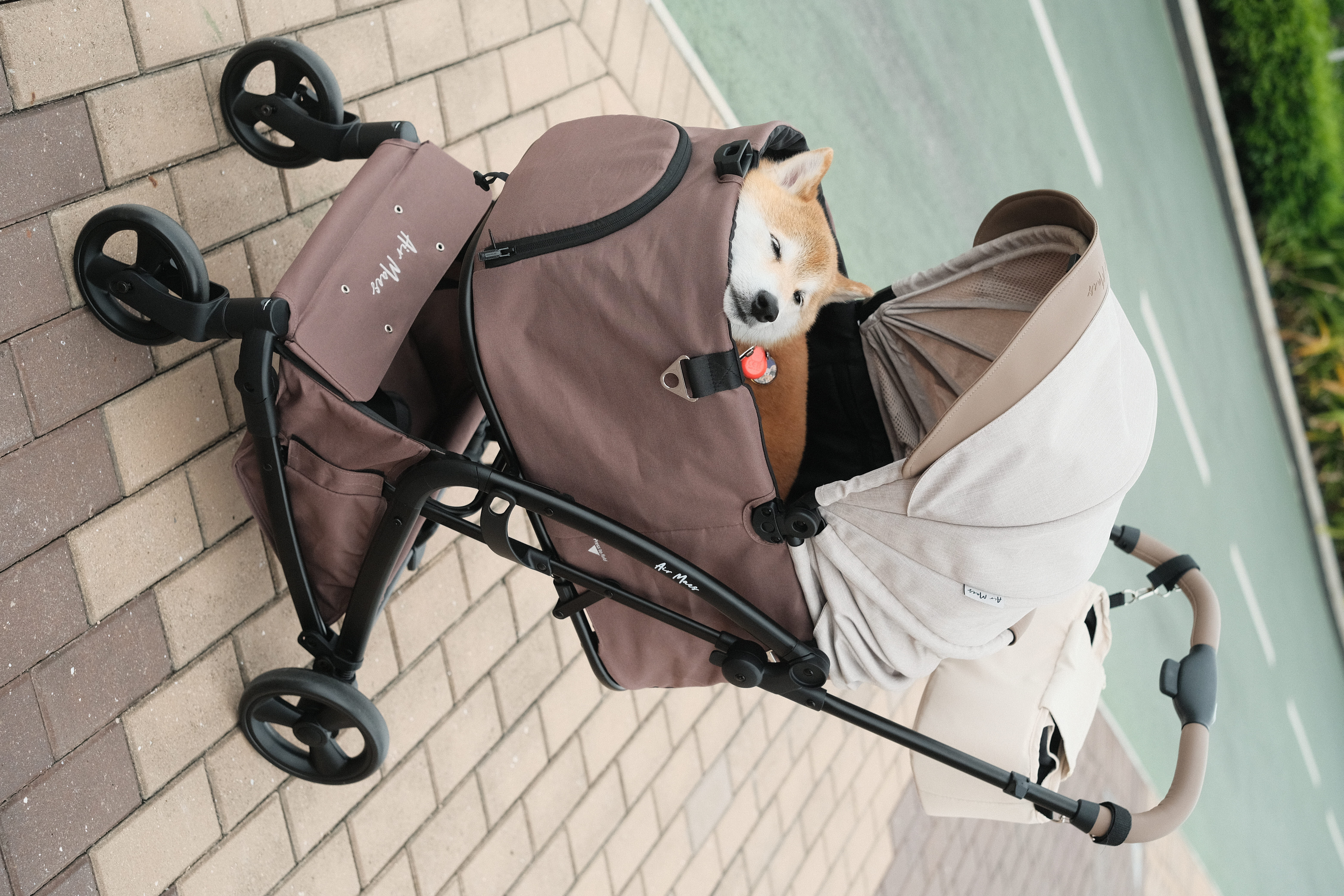 Airy GO 寵物推車產品細節二