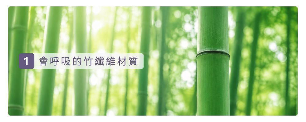竹纖維-會呼吸的纖維