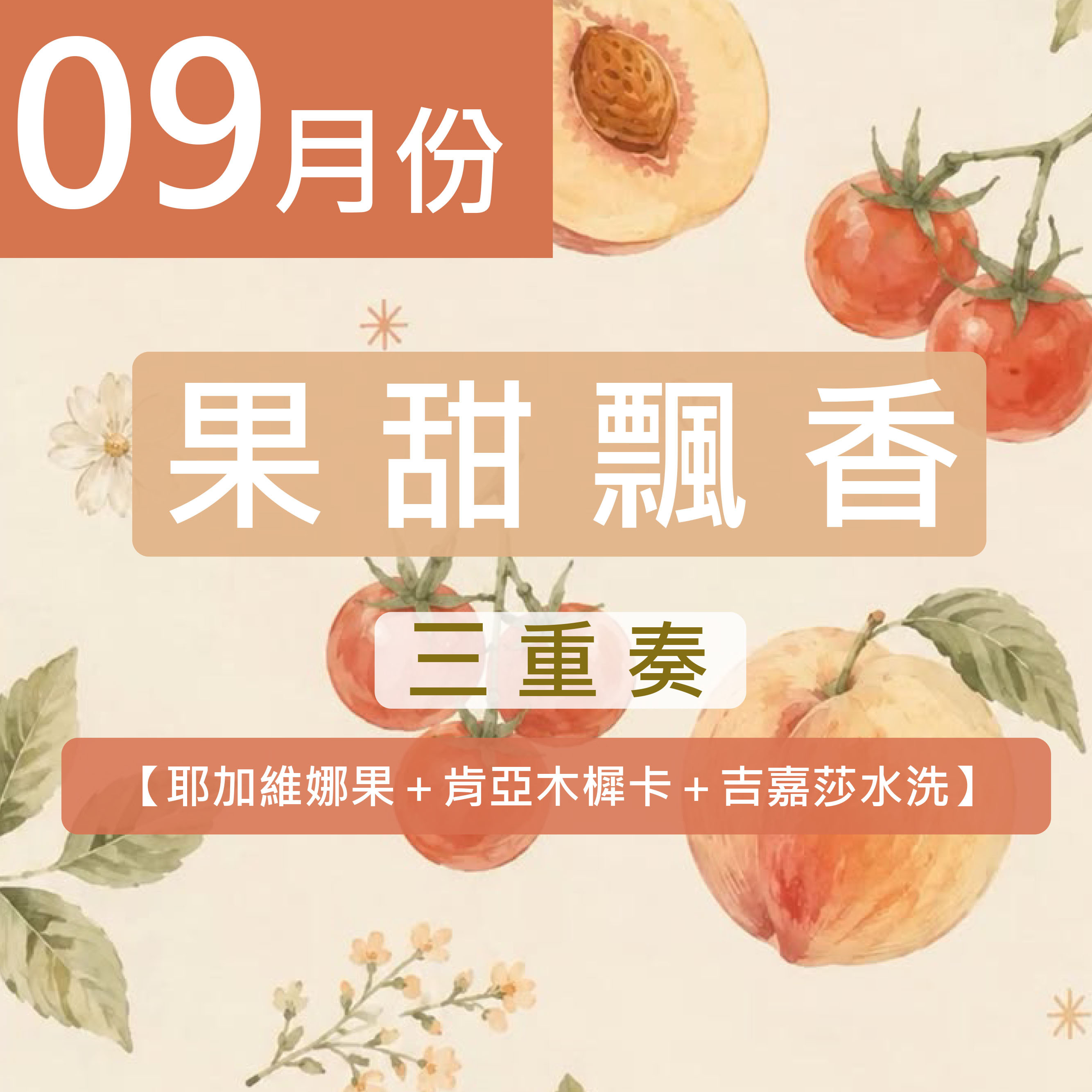 《9月份》★果甜飄香三重奏★耶加維娜果＋肯亞木樨卡＋吉嘉莎水洗