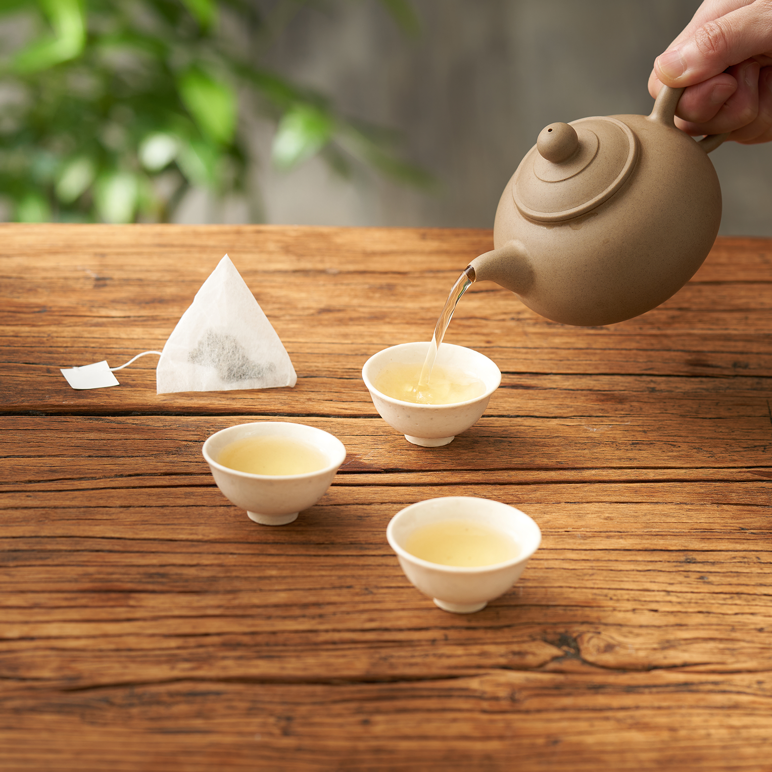 如何沖泡茶包