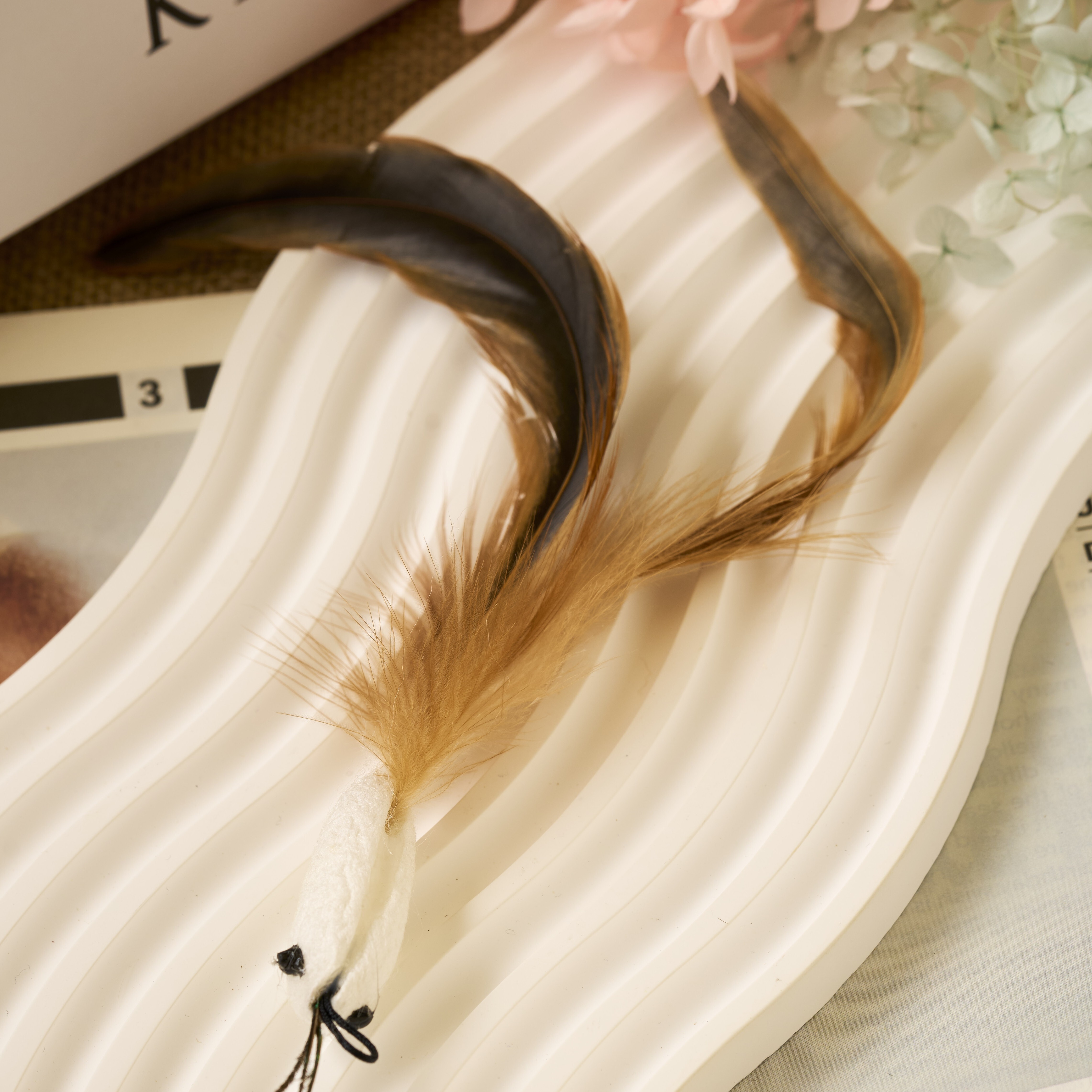 【ℕ𝔼𝕎】焦糖燕尾魚